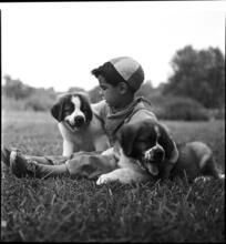 A Dog's Life in the Big City [Boy with two puppies.]