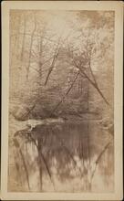 On the Bronx [River] near Bedford Station