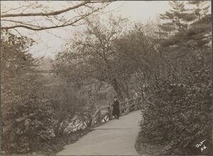 [Six views of Central Park and the Museum of Natural History.]