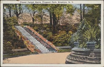 Flower Carpet Stairs, Prospect Park, Brooklyn, N. Y.