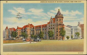 American Museum of Natural History, New York City