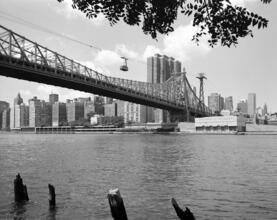 [Queensboro Bridge and Roosevelt Island Tramway.]