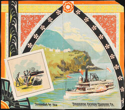 Domestic Sewing Machine Co.