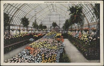 Interior of Conservatory, Prospect Park, Brooklyn, N. Y.
