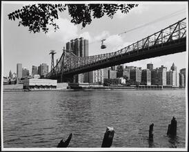 [Queensboro Bridge and Roosevelt Island Tramway.]