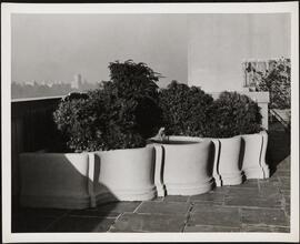 [Apartment building. Terrace.]
