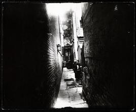 Nibsy's Alley at 47 1/2 Crosby Street, torn down in the Fall of 1895.
