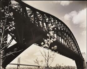 Hell Gate Bridge I