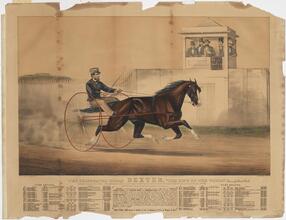 The Celebrated Horse Dexter, "The King of the World."