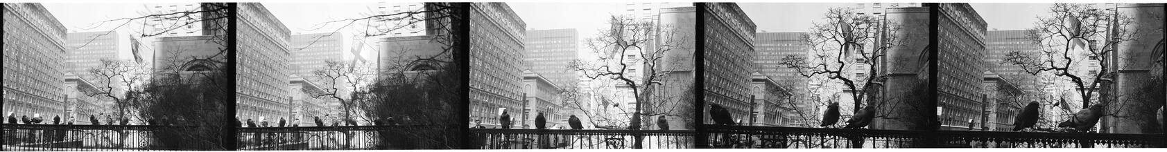 Park Avenue