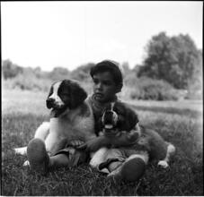 A Dog's Life in the Big City [Boy with two puppies.]