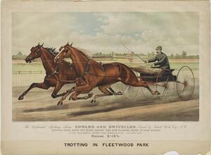 The Celebrated Trotting Team Edward and Swiveller, Owned by Frank Work, Esq. N.Y.