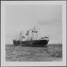 [Steamship.]