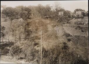 [Moss Estate.]