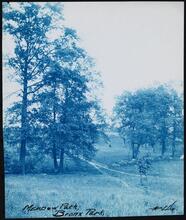 [Meadow Path, Bronx Park.]