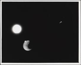 Constellation [Moon from Times Square.]