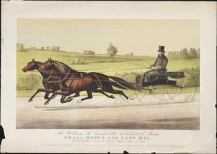 Mr. William H. Vanderbilt's Celebrated Team Small Hopes and Lady Mac.