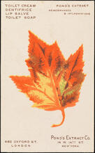 Pond's Extract Co.