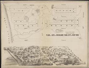 Plan of Lots in Woodland Park, City of New York