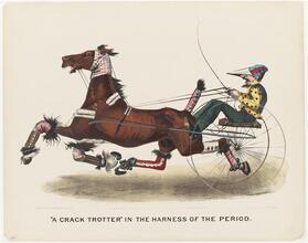 "A Crack Trotter" in the Harness of the Period.