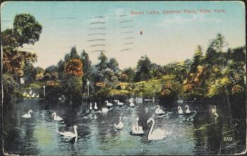Swan Lake, Central Park, New York.