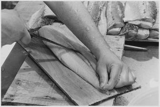 Study of Boning a Shad