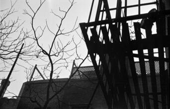 [Fire escape.]