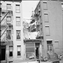 Junk Store between Tenements