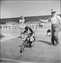 Circus [Monkey riding a bicycle.]