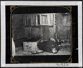 A Tramp's nest in Ludlow Street.