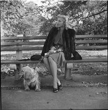 Men Are Such Wolves [Woman on a park bench.]