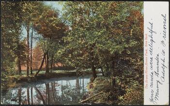 The Bronx River, Bronx Park, New York.