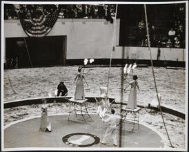 [Fire juggling at a circus.]