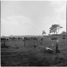 [Farm.]