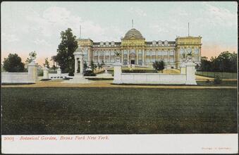 Botanical Garden, Bronx Park New York.