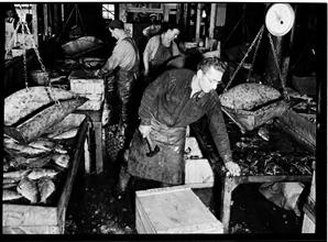 Fulton Fish Market.
