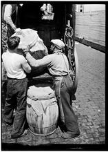 Loading Fish, Fulton Fish Market.