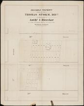 Valuable Property belonging to the Estate of Thomas Storm, Decd.