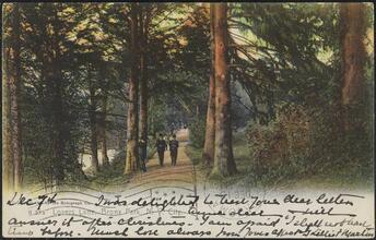 Lovers Lane, Bronx Park, N. Y. City.