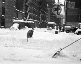 [Aftermath of a snowstorm.]