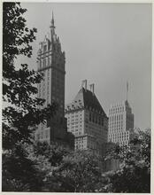 Plaza Buildings from Central Park