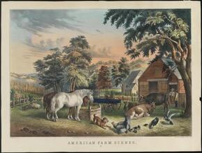 American Farm Scenes.