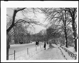 Central Park. Snow scene.