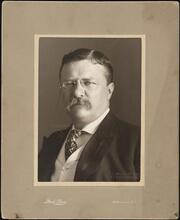 [Theodore Roosevelt.]