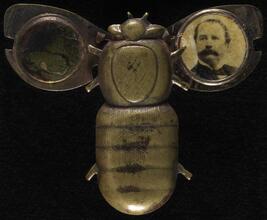 [Gold bug pin endorsing McKinley and Hobart.]