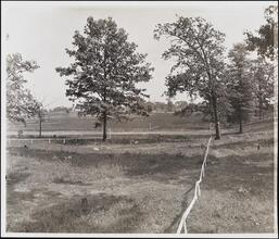 [Clason Point, Randall Avenue near Sound View Avenue.]