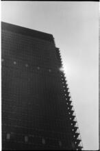 Park Avenue [Seagram Building.]