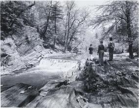 [Boys at the Bronx River Falls.]