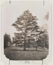 [Huntington Estate.]