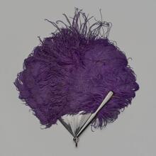 Folding feather fan of deep purple ostrich and tortoise shell